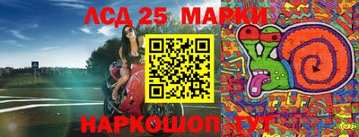 гидропоника Ставрополь
