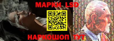 гидропоника Ставрополь