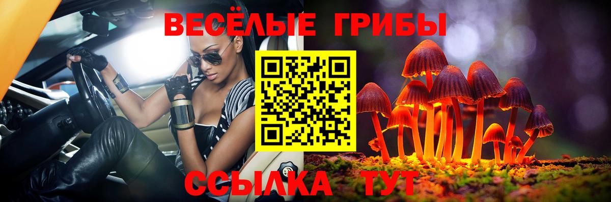 Галлюциногенные грибы Psilocybine cubensis  Вход с VPN  Галлюциногенные грибы мухоморы  Мыски 